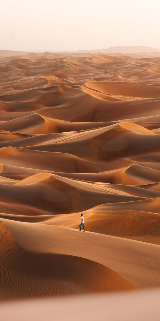 Arabian Desert III