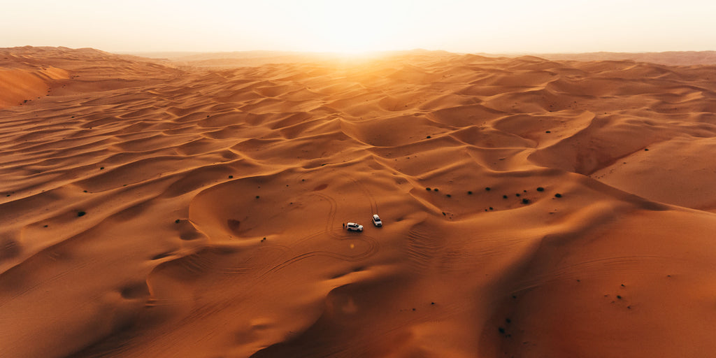 Arabian Desert I