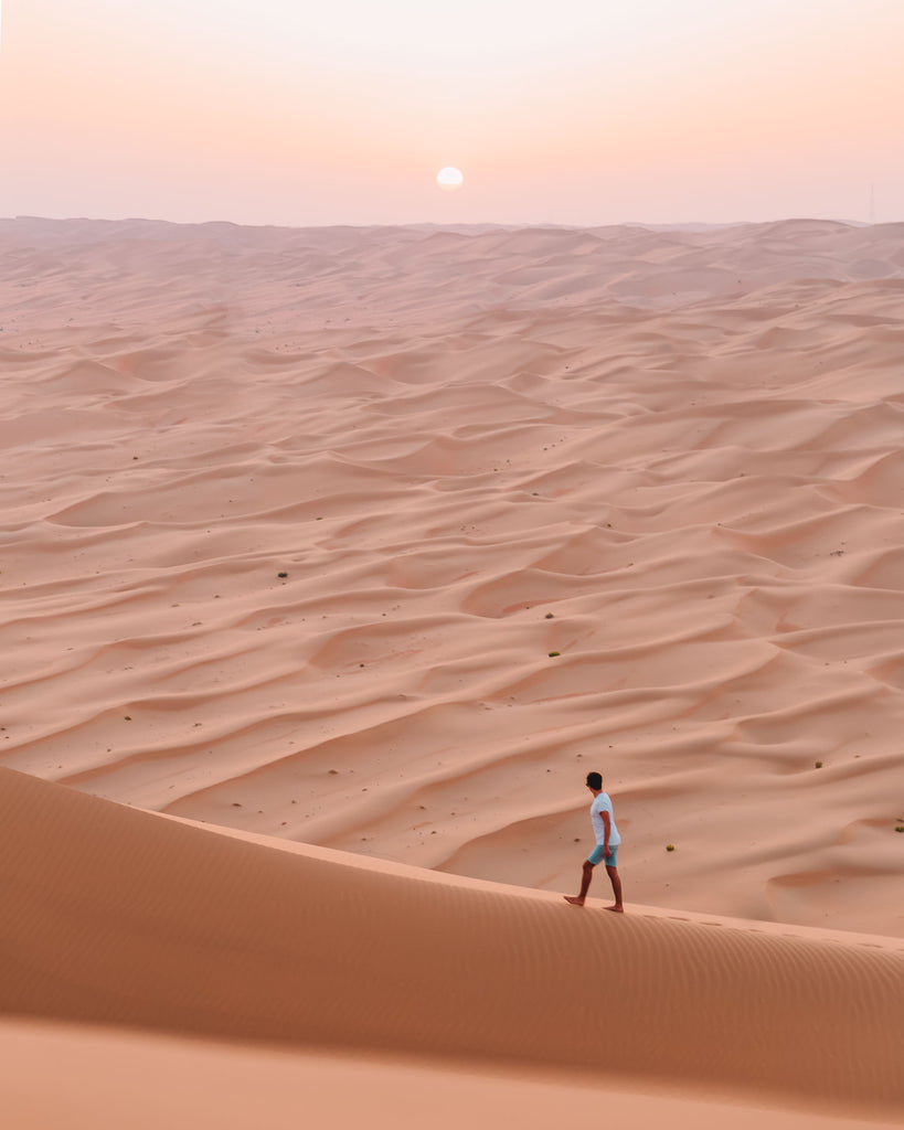 Arabian Desert V